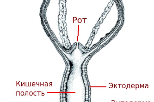 Кракен магазин тор