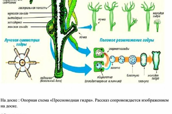 Кракен сайт kr2web in зарегистрироваться